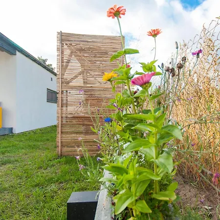 Sobieszepty Odetchnij Cisza Gdansk