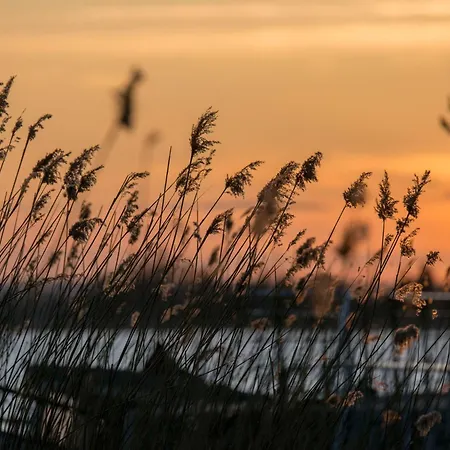 Sobieszepty Odetchnij Cisza * Gdansk