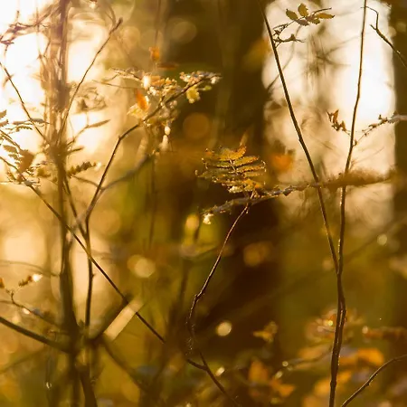 Sobieszepty Odetchnij Cisza * Gdansk