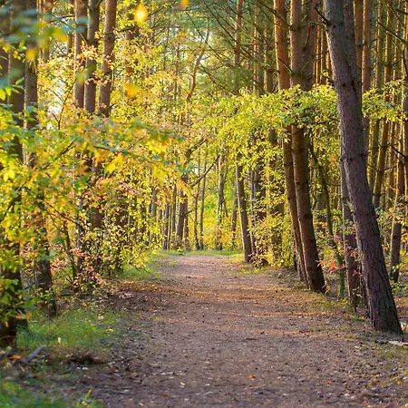 Lodge Sobieszepty Odetchnij Cisza Gdansk