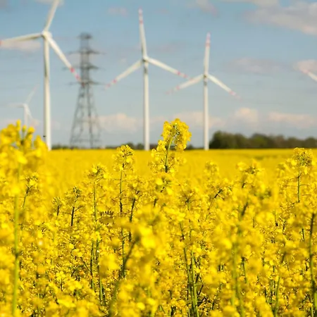 Lodge Sobieszepty Odetchnij Cisza Gdansk