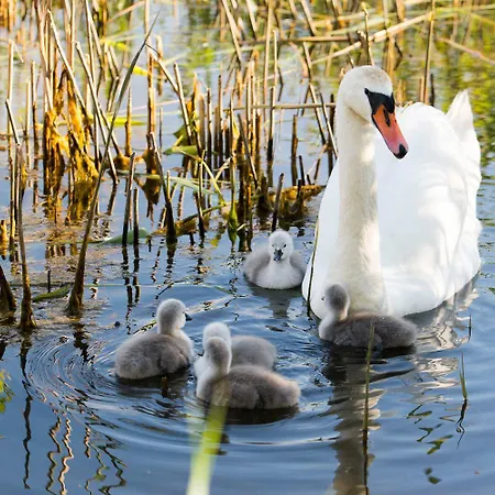 Sobieszepty Odetchnij Cisza * Gdansk