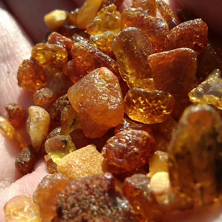 Lodge Sobieszepty Odetchnij Cisza *