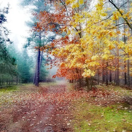 Lodge Sobieszepty Odetchnij Cisza Gdansk