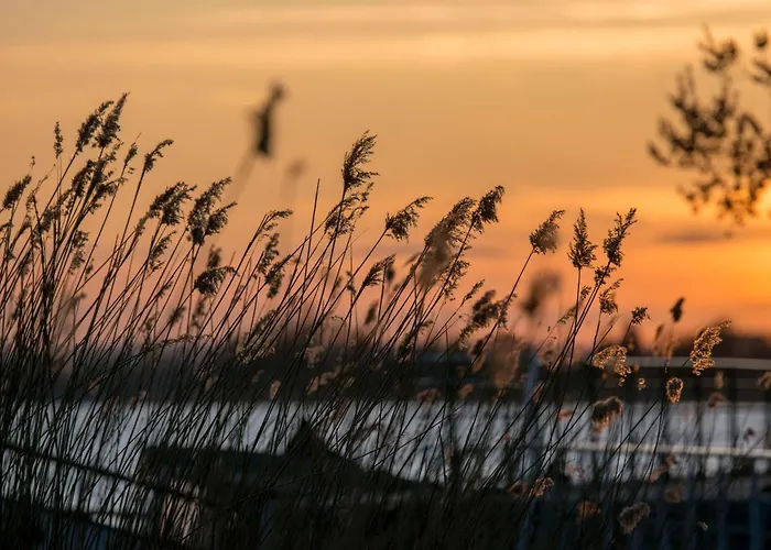 Sobieszepty Odetchnij Cisza * Gdańsk
