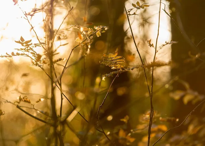 Sobieszepty Odetchnij Cisza * Gdansk
