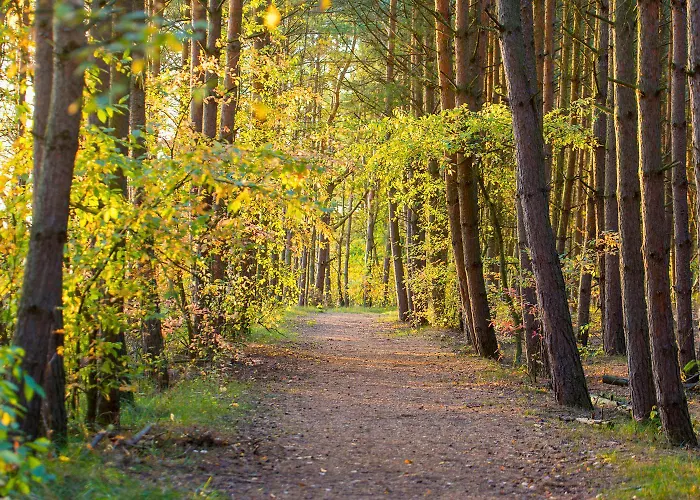 Jaktstuga Sobieszepty Odetchnij Cisza Gdańsk