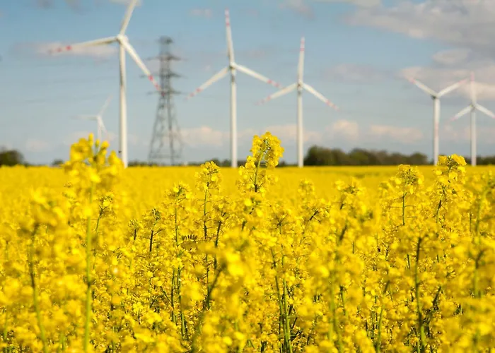 Деревянный коттедж Sobieszepty Odetchnij Cisza Гданьск