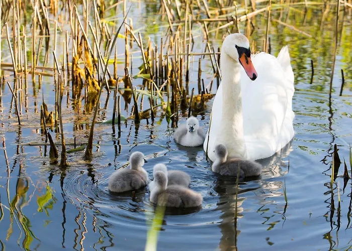 Sobieszepty Odetchnij Cisza * Gdansk