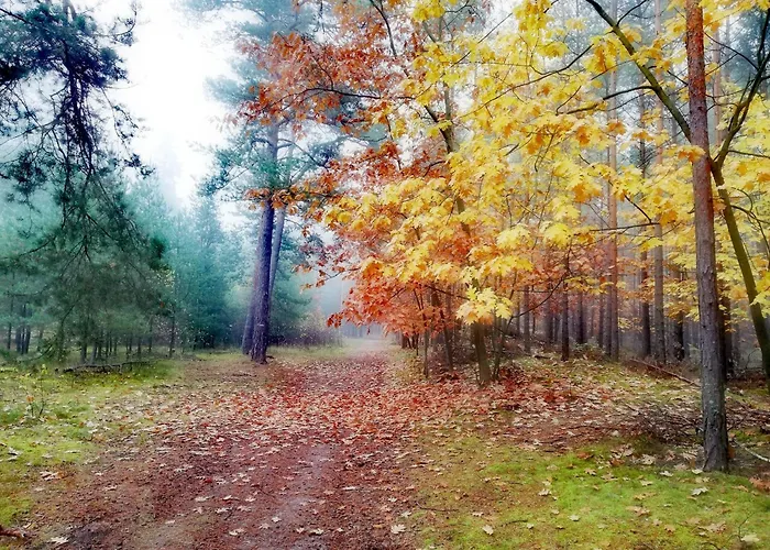 Lodge Sobieszepty Odetchnij Cisza Gdansk